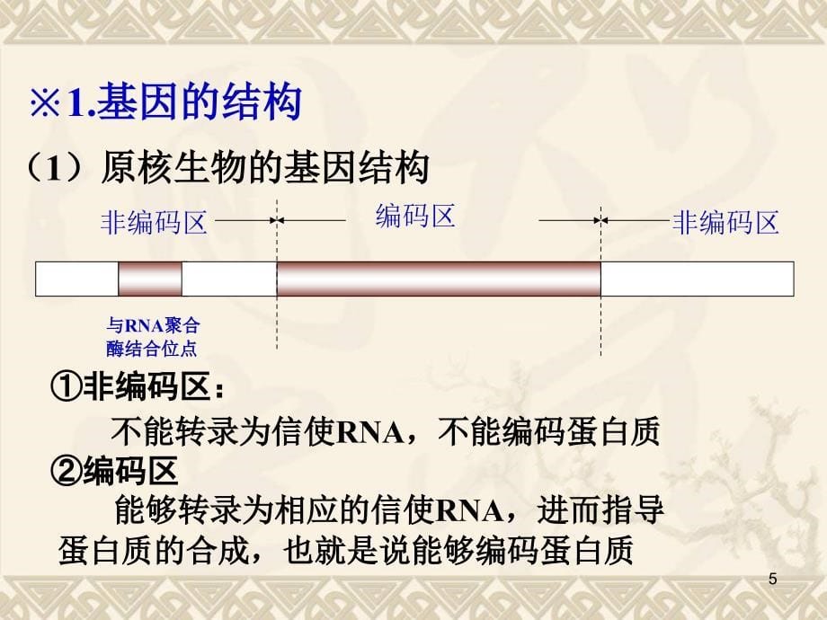 11DNA重组的基本技术_第5页