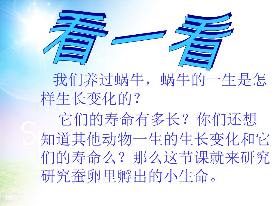 三年级科学下册3.1蚕宝宝出生了课件4湘教版湘教版小学三年级下册自然科学课件_第2页