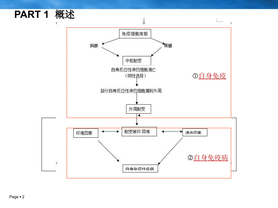 自身免疫与自身免疫病.ppt_第2页