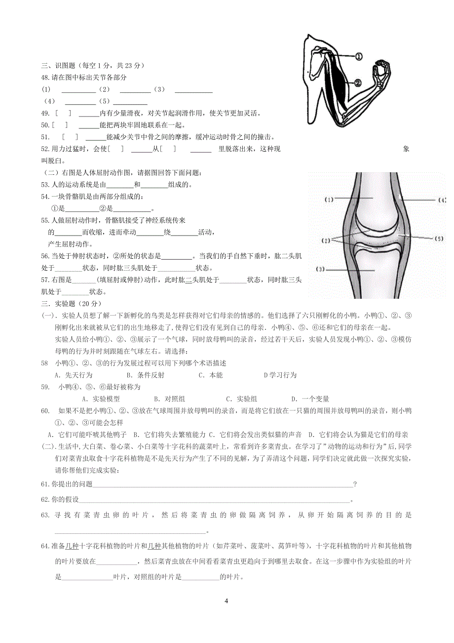 八年级生物上册第二章第三章测试题.doc_第4页