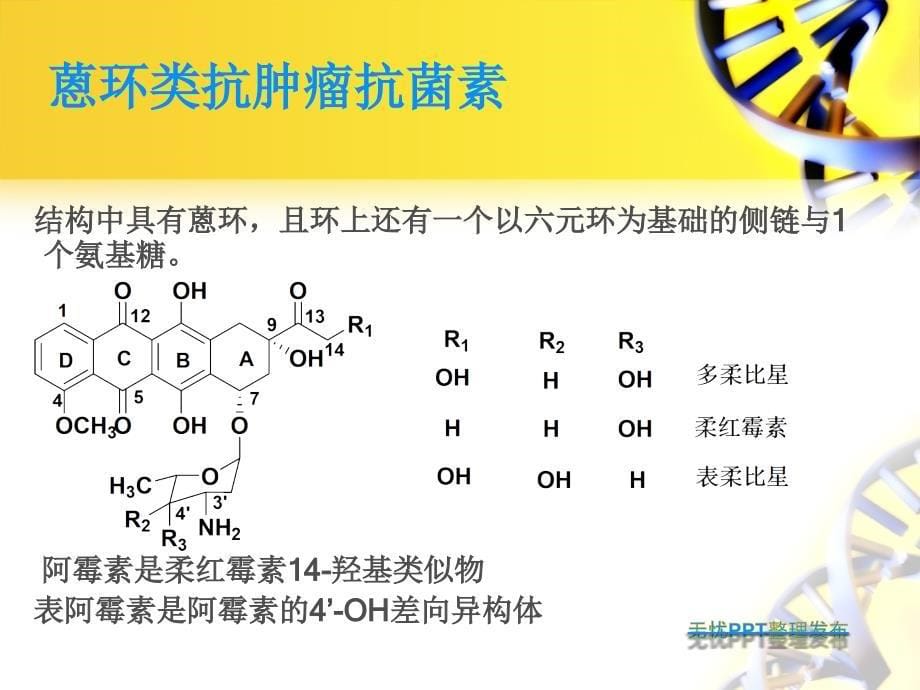 抗生素类抗肿瘤药PPT课件_第5页