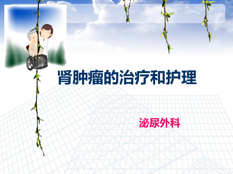 肾肿瘤的治疗与护理.ppt_第1页