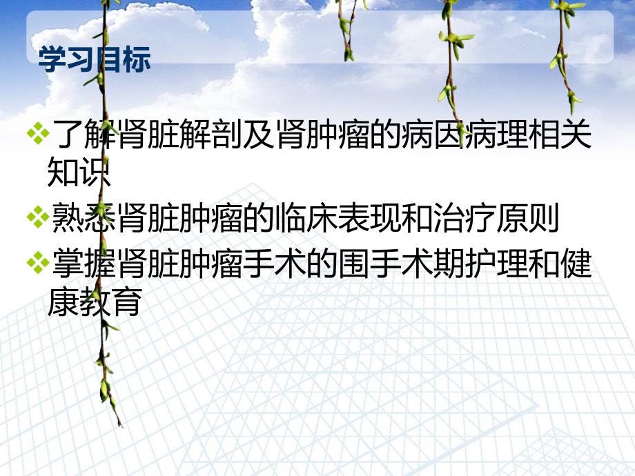 肾肿瘤的治疗与护理.ppt_第2页