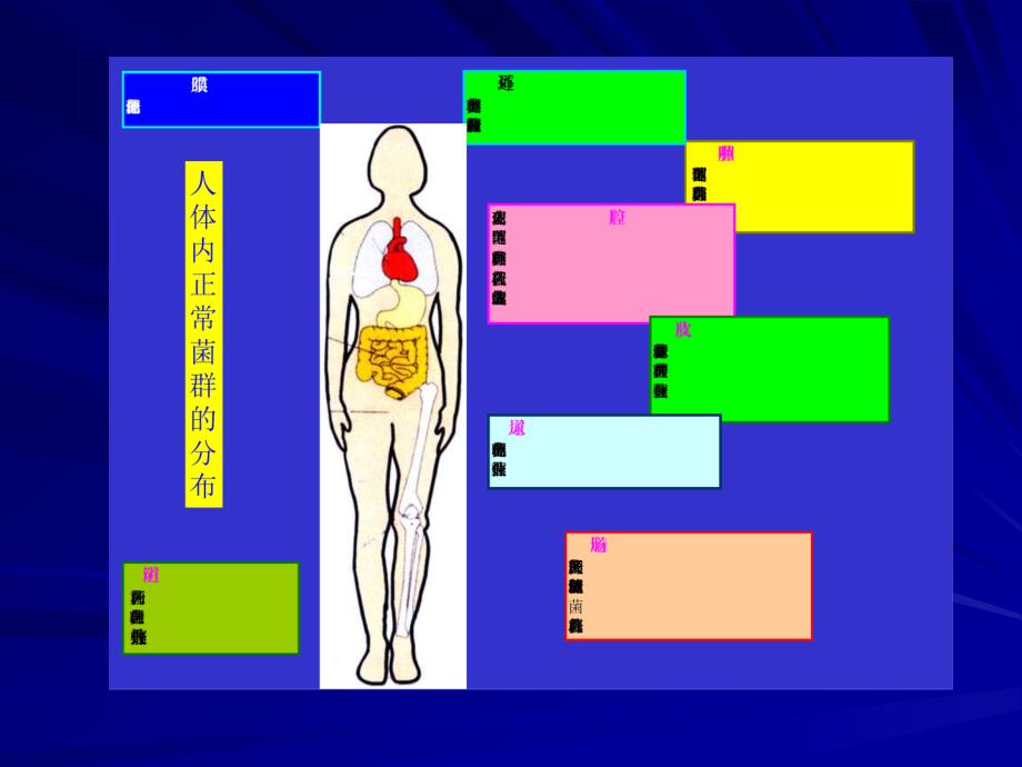 第6章细菌的感染与免疫InfectionandImmunityofBacteria名师编辑PPT课件_第4页