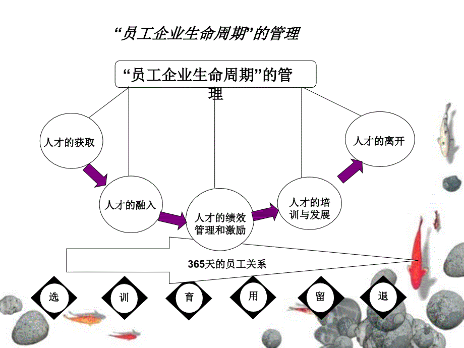 员工生命周期管理_第3页