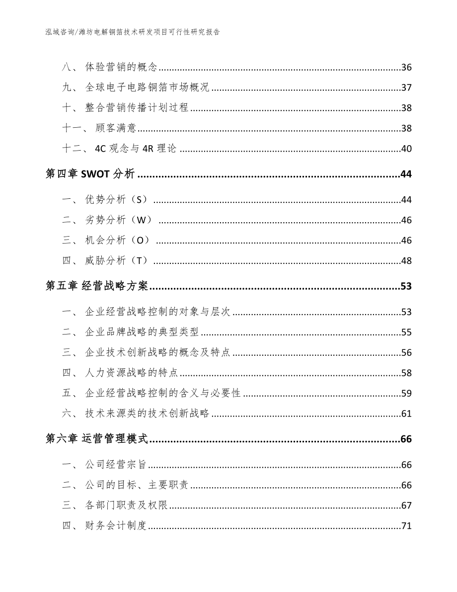 潍坊电解铜箔技术研发项目可行性研究报告【参考模板】_第2页