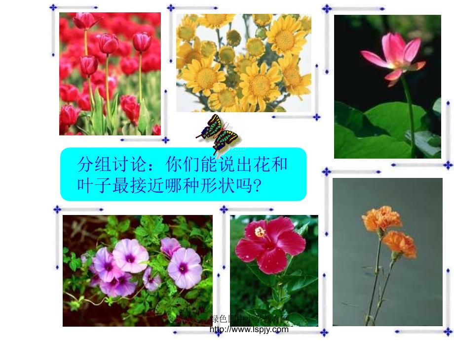 《茂密的花PPT课件》_第4页