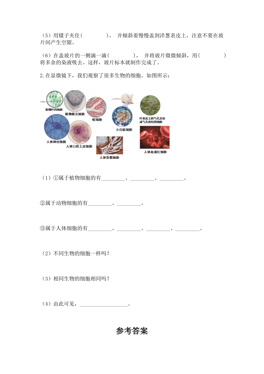 教科版科学一年级上册第二单元《比较与测量》测试卷及参考答案(综合题).docx_第4页