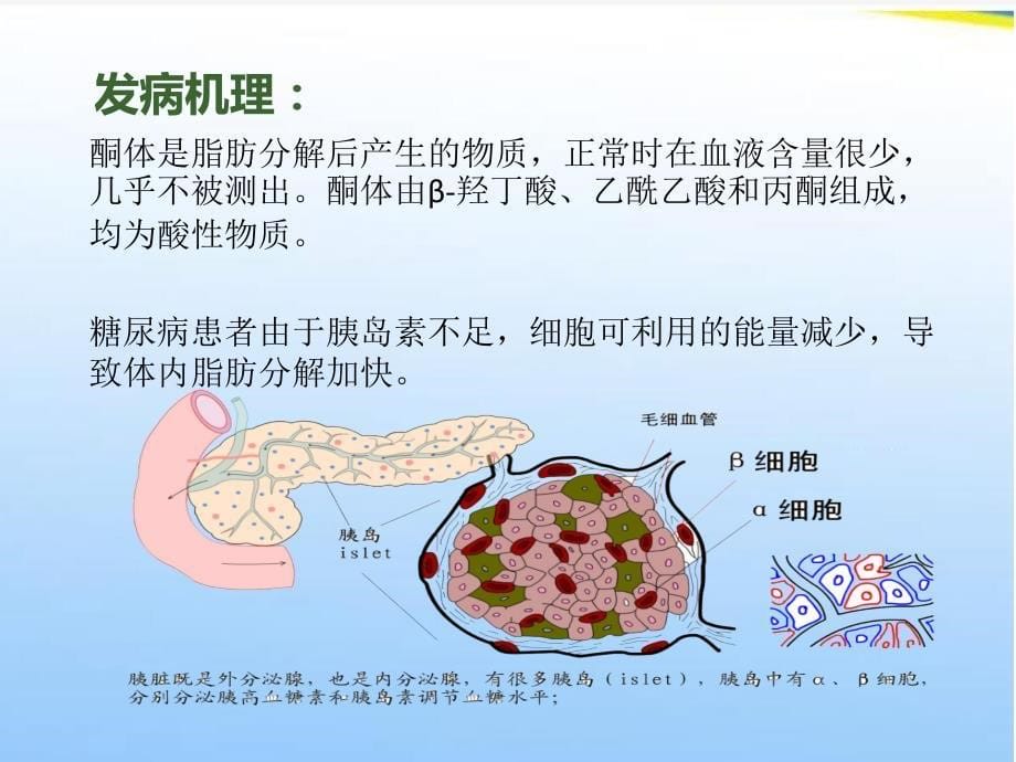 糖尿病高渗性昏迷病人护理查房_第5页