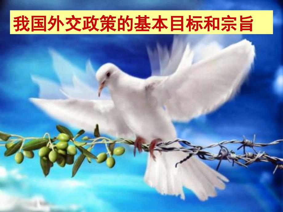 我国外交政策的基本目标和宗旨_第1页