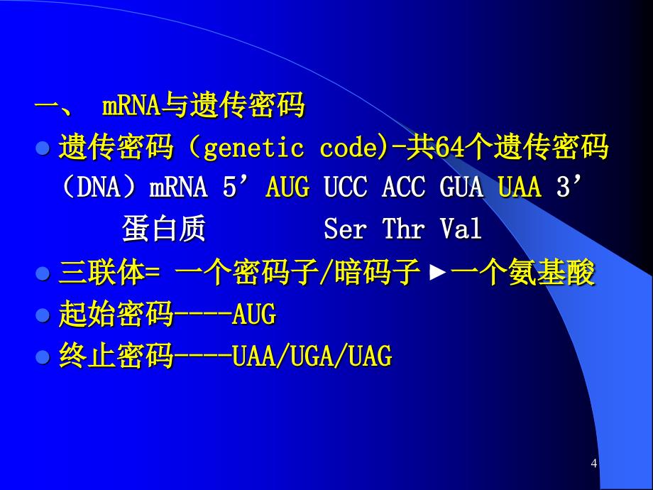 教学课件第十四章蛋白质的生物合成翻译translation_第4页