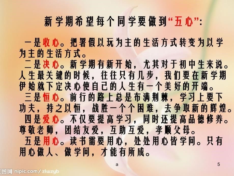 《初一开学班会》课件_第5页