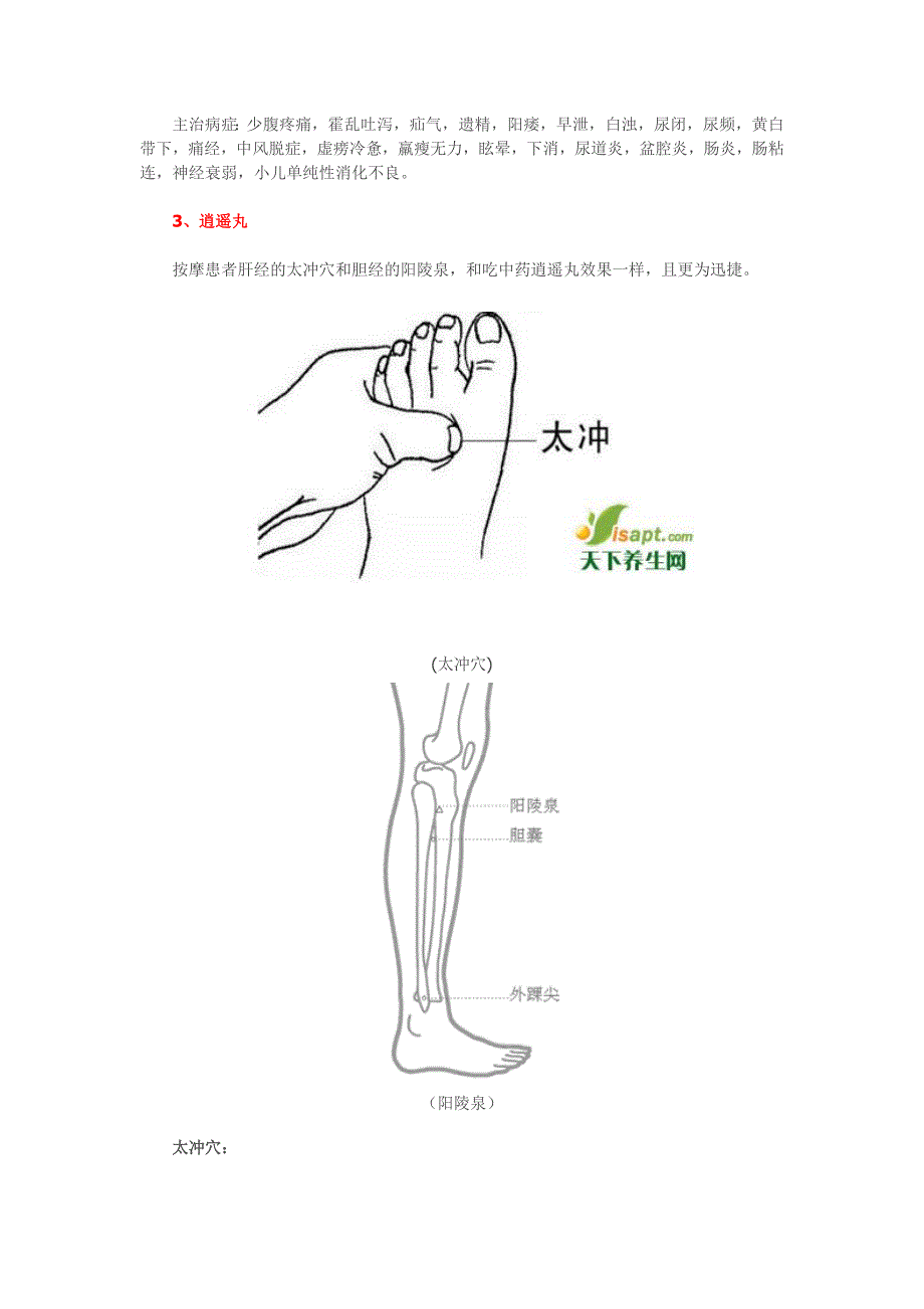 18味中药对应的人体穴位.doc_第4页