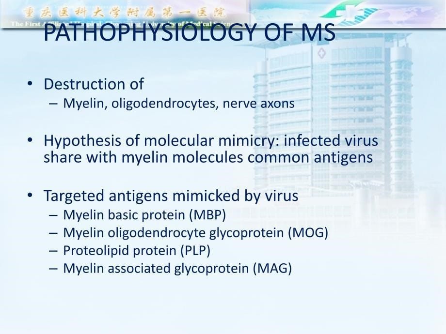 神经病学课件：Multiple Sclerosis_第5页