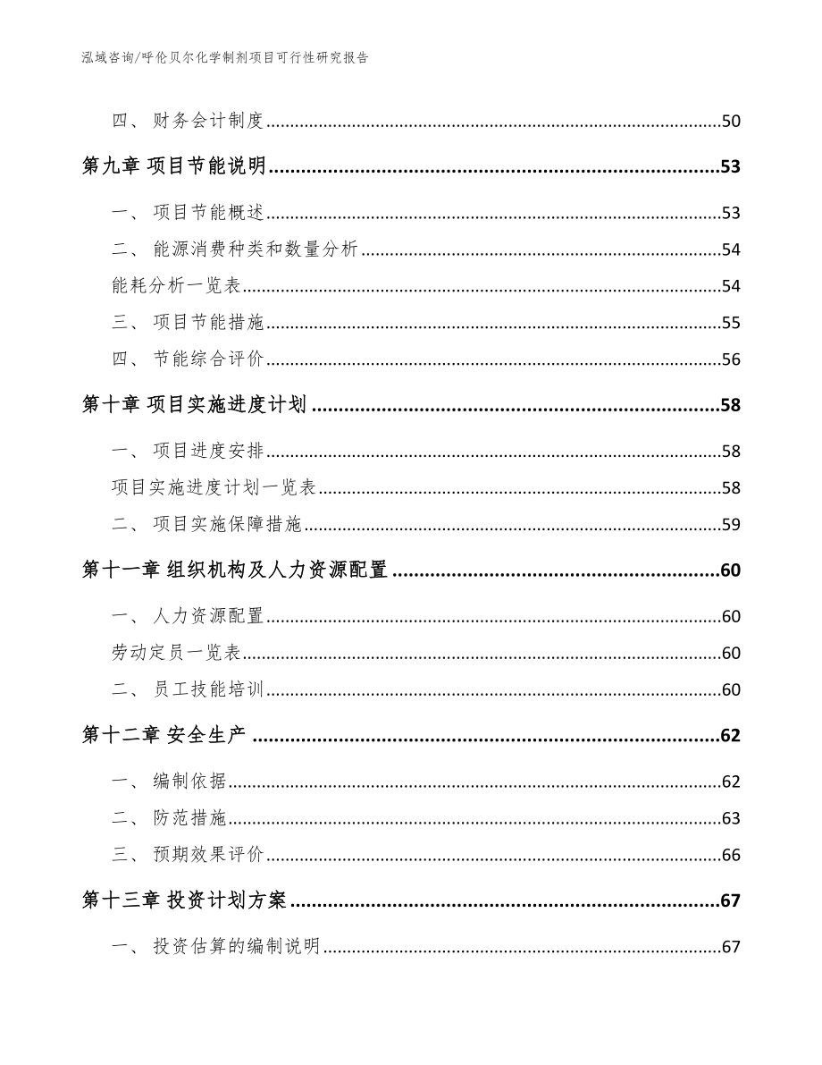 呼伦贝尔化学制剂项目可行性研究报告（模板）_第4页