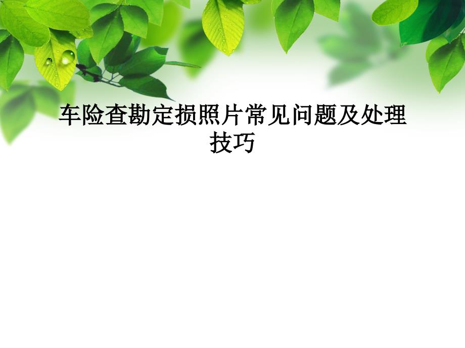 车险查勘定损照相的相关问题及解决方案_第1页