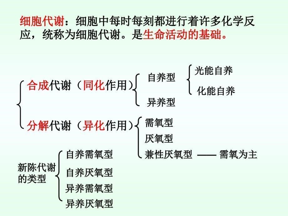 高三生物一轮复习专题9降低化学反应活化能的酶_第5页