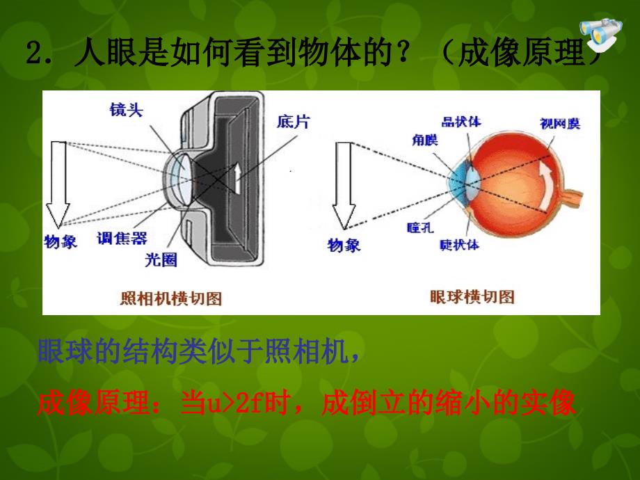 4名师课件八年级物理上册5.4眼睛和眼镜课件_第4页