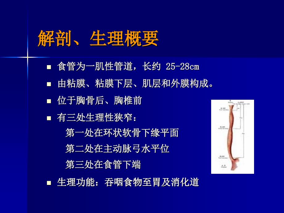 食管癌病人的护理_第3页