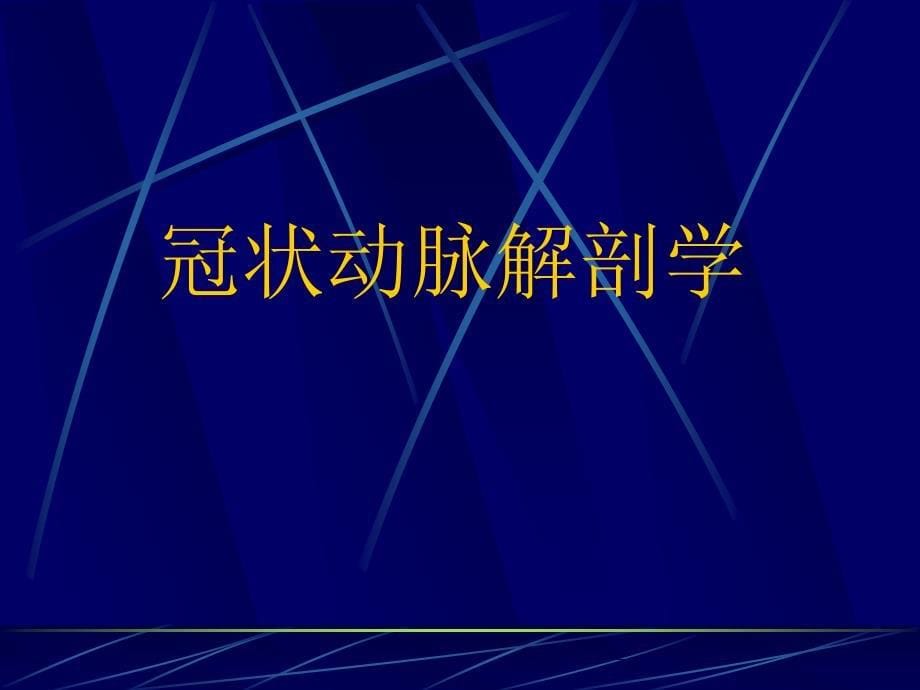 冠脉造影术基础及指引导管选择_第5页