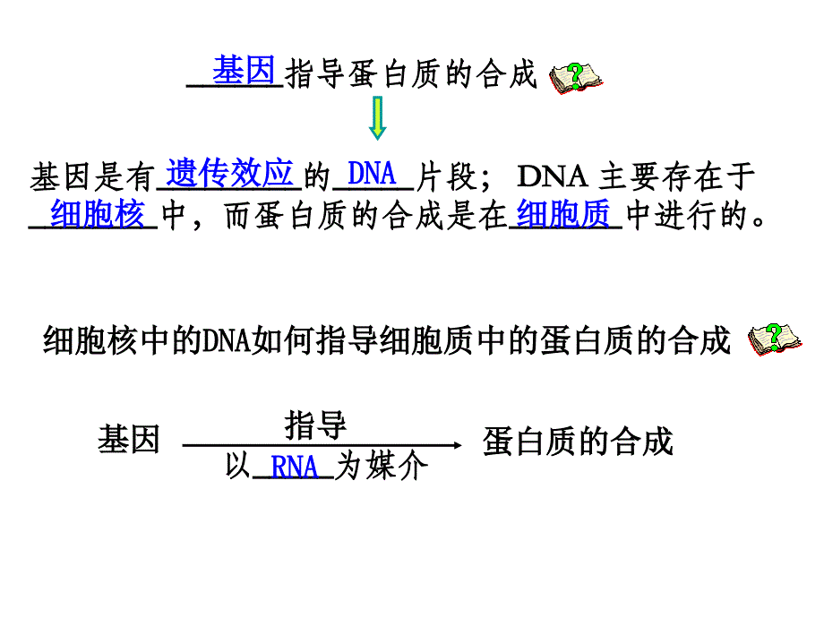 基因的表达ppt课件_第3页