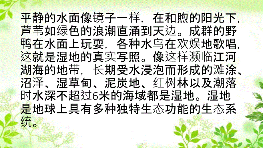 说明文的语言特点_第3页