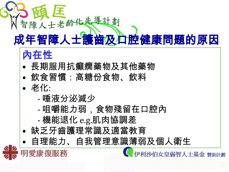 牙齿香港社会服务联会课件_第4页