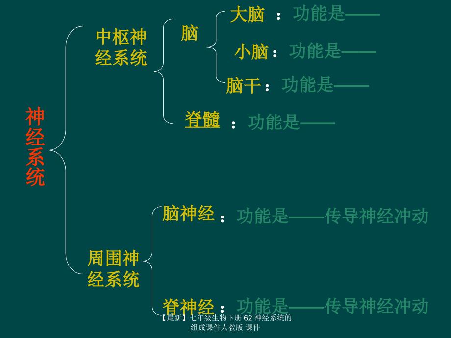 最新七年级生物下册62神经系统的组成课件人教版课件_第2页