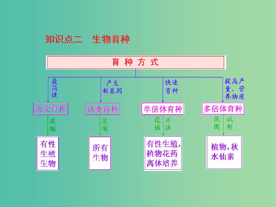 高考生物一轮复习 第三单元 第3讲 人类遗传病与生物育种课件 新人教版必修2 (2).ppt_第3页