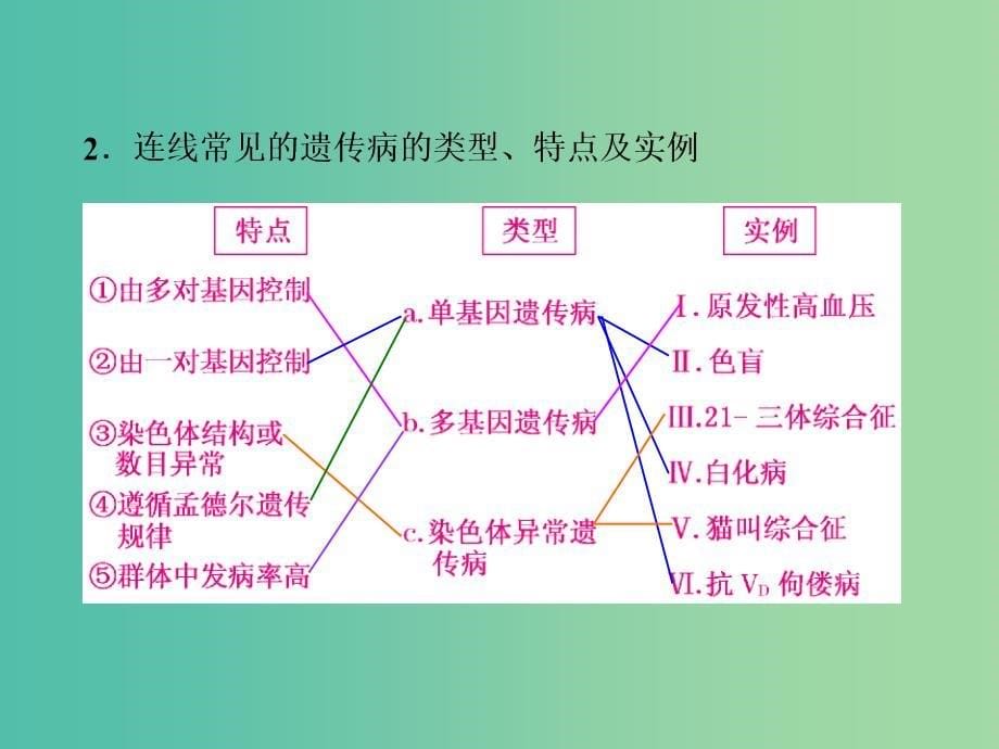 高考生物一轮复习 第三单元 第3讲 人类遗传病与生物育种课件 新人教版必修2 (2).ppt_第5页