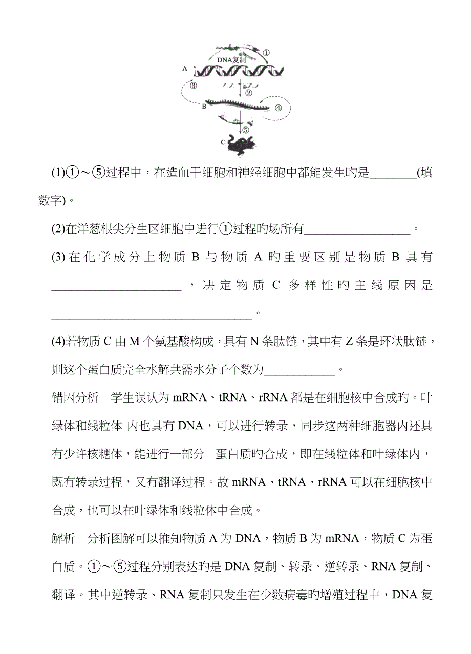 高三生物二轮同步训练：《遗传与进化易错易混分类过关练》_第4页