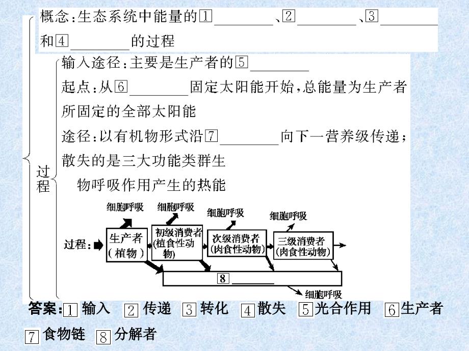 《能量流动和物质》PPT课件_第2页