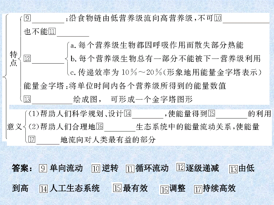 《能量流动和物质》PPT课件_第3页