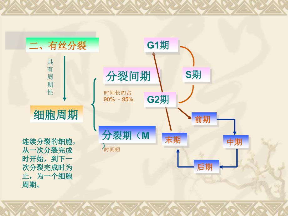 高考生物一轮复习课件：细胞的有丝分裂.ppt_第4页