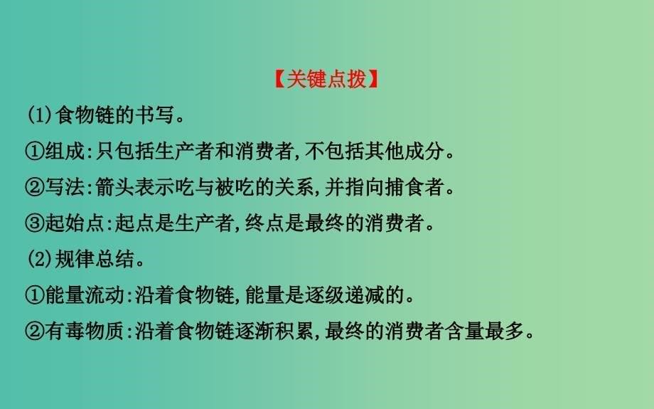 七年级生物上册 1.2.2 生物与环境组成生态系统（二）课件 新人教版.ppt_第5页