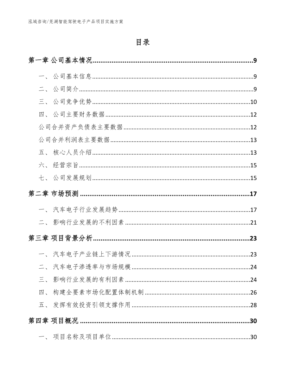 芜湖智能驾驶电子产品项目实施方案模板参考_第2页