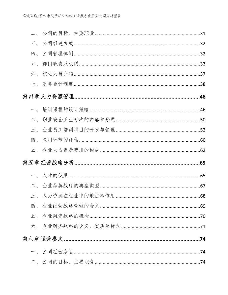 长沙市关于成立钢铁工业数字化服务公司分析报告（模板参考）_第4页