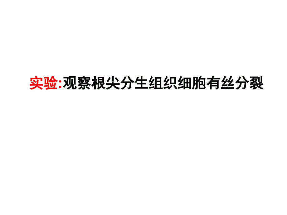 观察根尖分生组织细胞有丝分裂课件_第1页