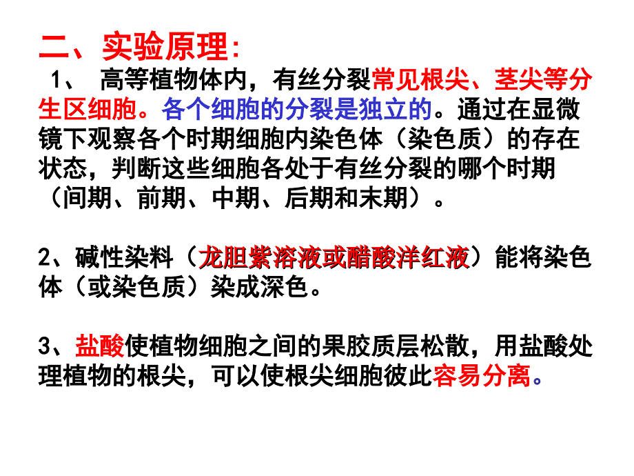 观察根尖分生组织细胞有丝分裂课件_第3页