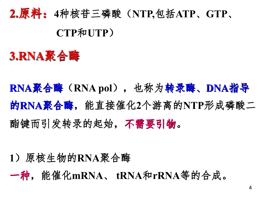 遗传信息的传递PPT课件_第4页