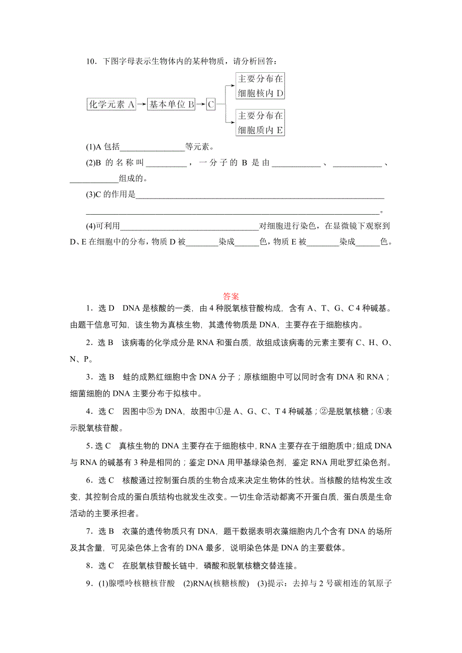 课时跟踪检测(五)　遗传信息的携带者——核酸_第3页