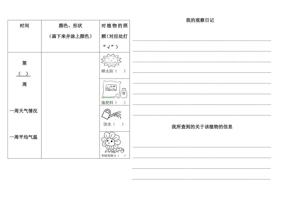 小学植物生长观察记录表.doc_第5页