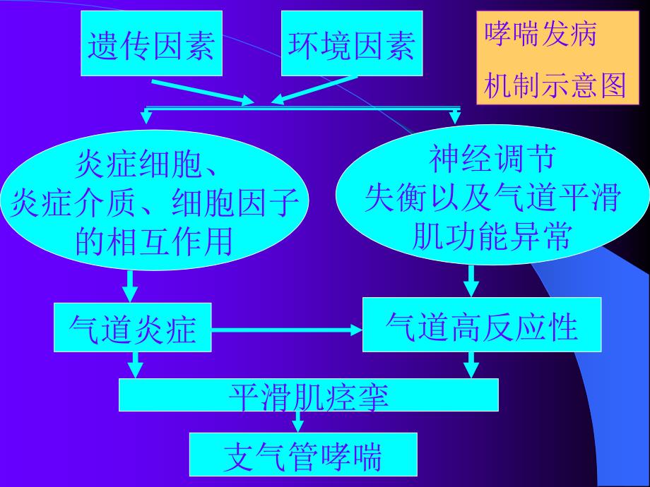 作用于呼吸系统的药物_第3页