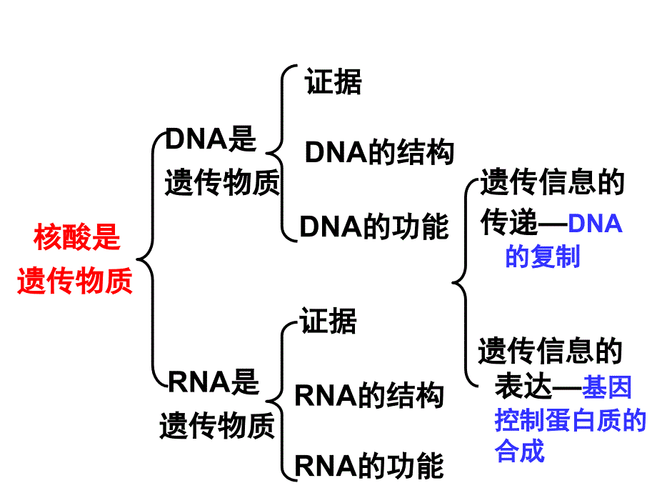 必修二第三章遗传的分子基础_第2页