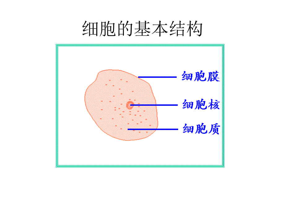 31细胞膜--系统边界课件（人教版）_第2页