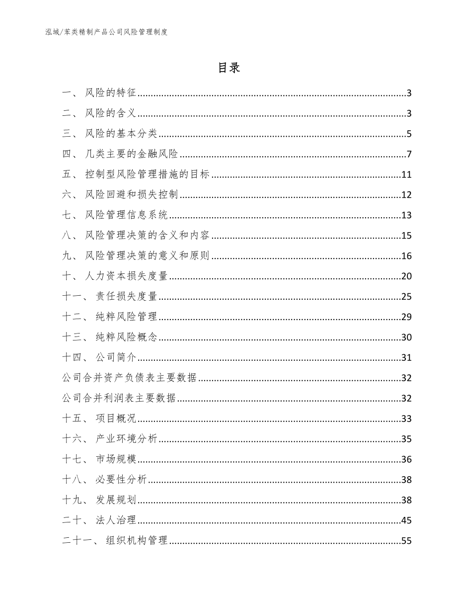 苯类精制产品公司风险管理制度_第2页