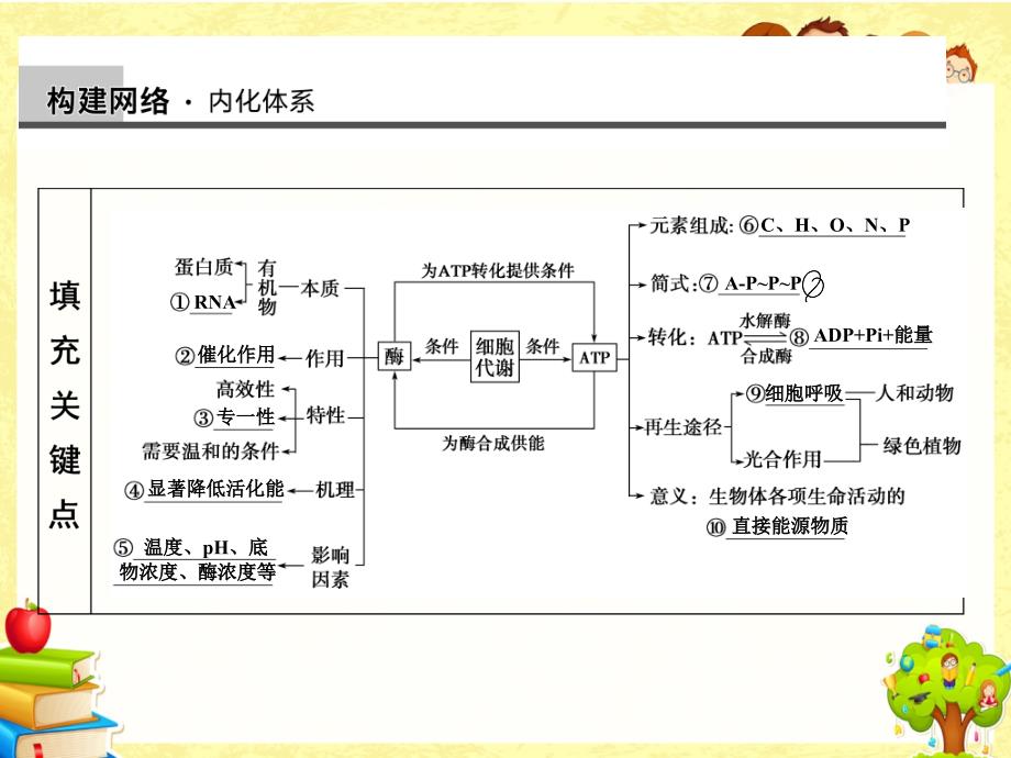 上课复习专题二细胞新陈代谢二轮_第4页