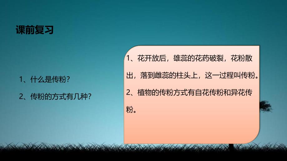 八年级生物上册第四单元物种的延续第一章绿色开花植物的一生第三节果实和种子的形成课件新版济南版_第2页