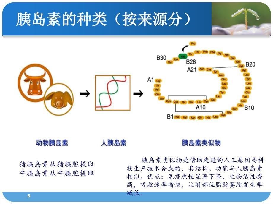 （优质课件）胰岛素的分类及使用方法_第5页