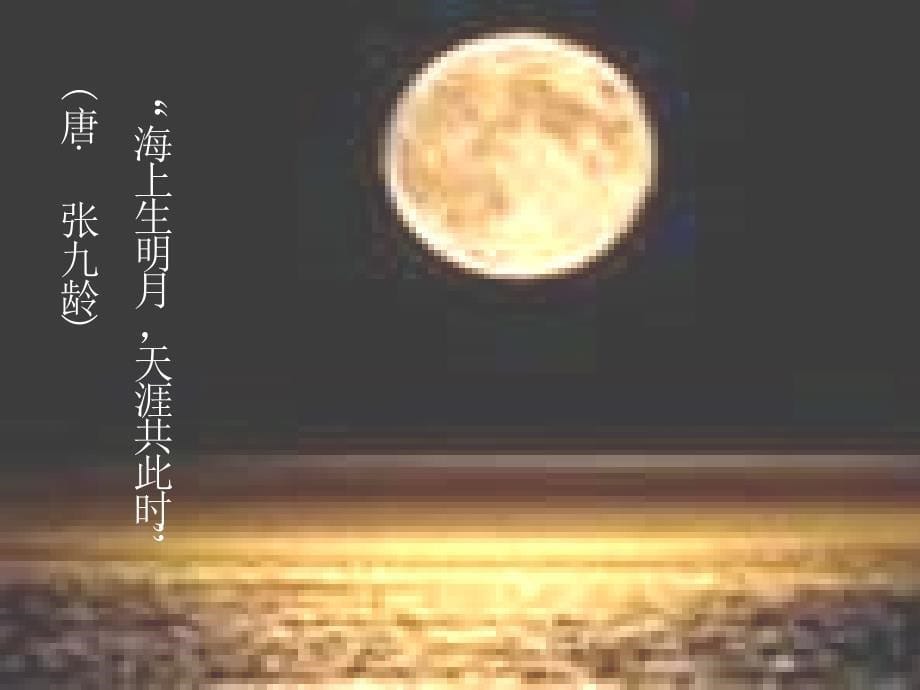 八年级语文《记承天寺夜游》课件_第5页